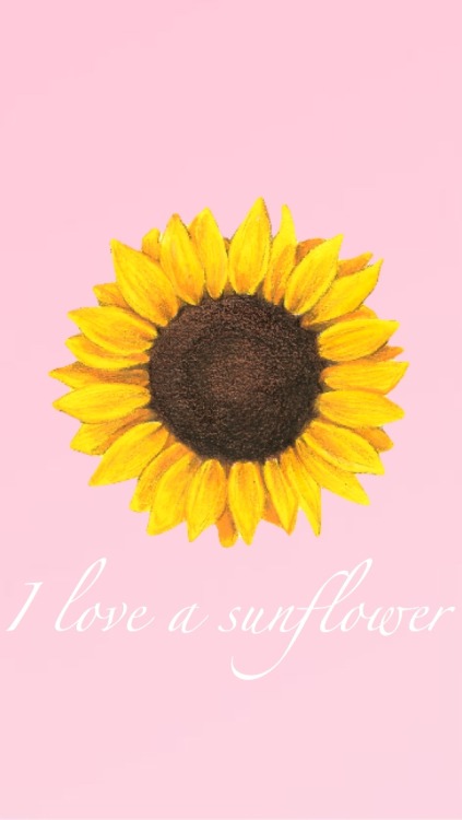 Cissp sunflower 2018